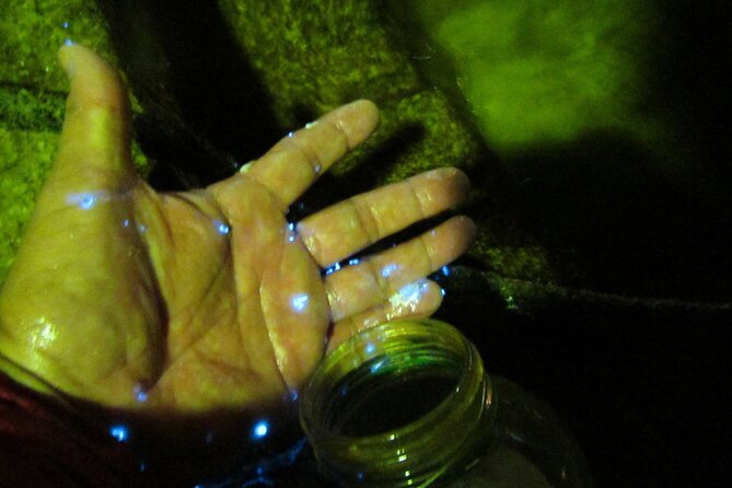 Night Kayak Tour Relax Under the Natural Glow of Sea Fireflies - Accessibility and Age Restrictions