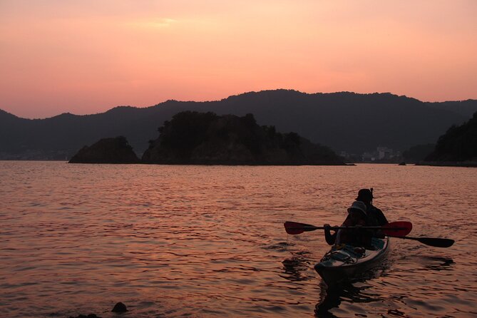 Night Kayak Tour Relax Under the Natural Glow of Sea Fireflies - Recommended Fitness Level and Items to Bring