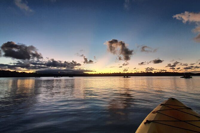 Night Kayaking Experience on Bioluminescent Lagoon in Fajardo - Practical Details and Tips