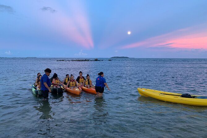 Night Kayaking Experience on Bioluminescent Lagoon in Fajardo - Who Will Love This Tour?