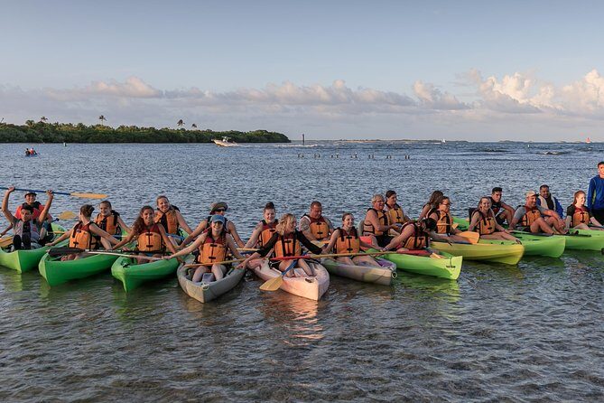 Night Kayaking Experience on Bioluminescent Lagoon in Fajardo - The Sum Up