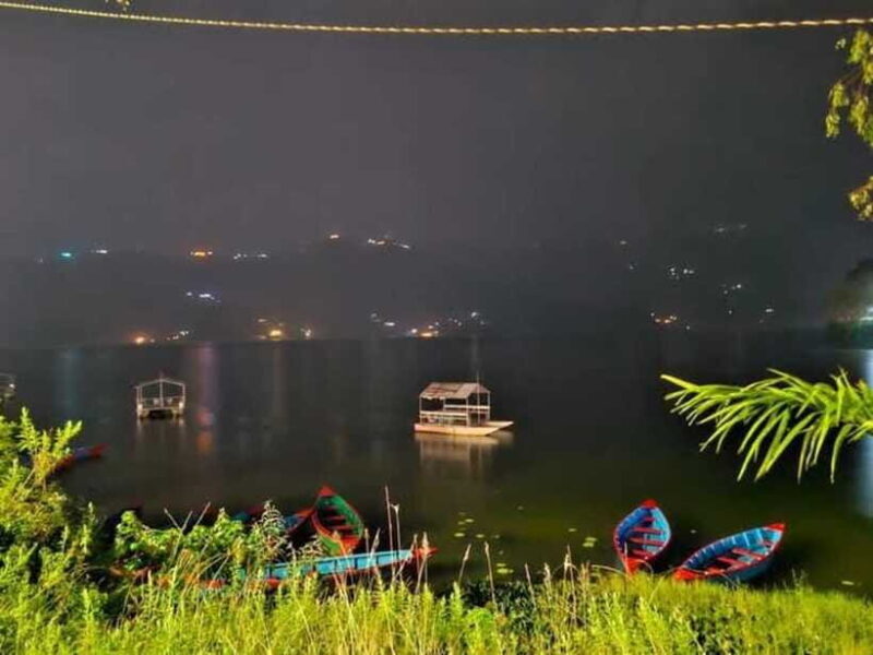 Night Light Guided Tour - What’s Included and What’s Not