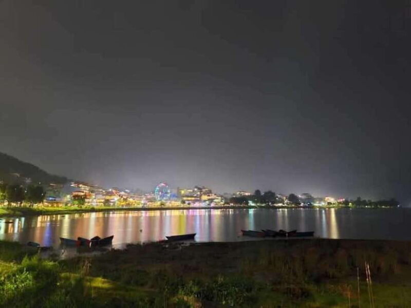 Night Light Guided Tour - An In-Depth Look at the Night Light Guided Tour