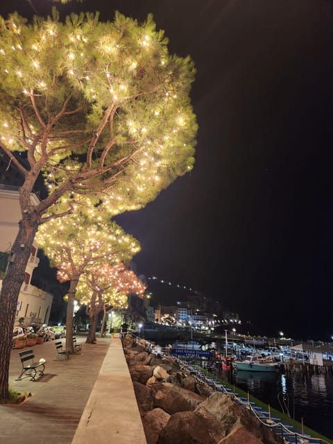 Night Lights Tour: Exploring the Amalfi Coast by Vespa - Participant Requirements