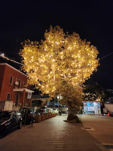Night Lights Tour: Exploring the Amalfi Coast by Vespa - Booking Information