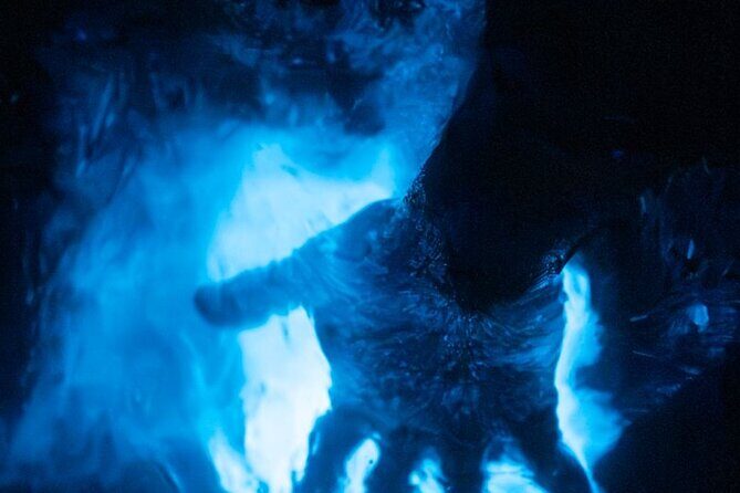 Night Mangrove Kayak Tour - An In-Depth Look at the Night Kayak Experience