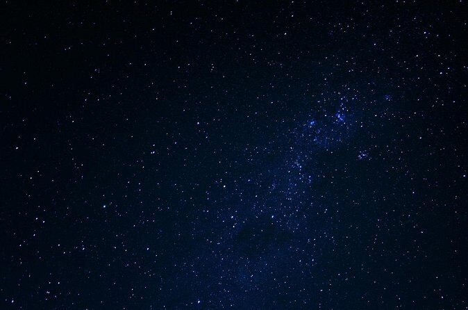 Night Mangrove Kayak Tour - FAQ