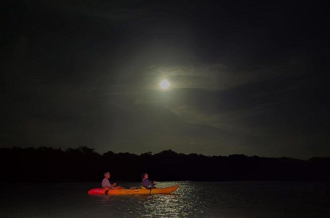 Night Mangrove Kayak Tour - Final Words