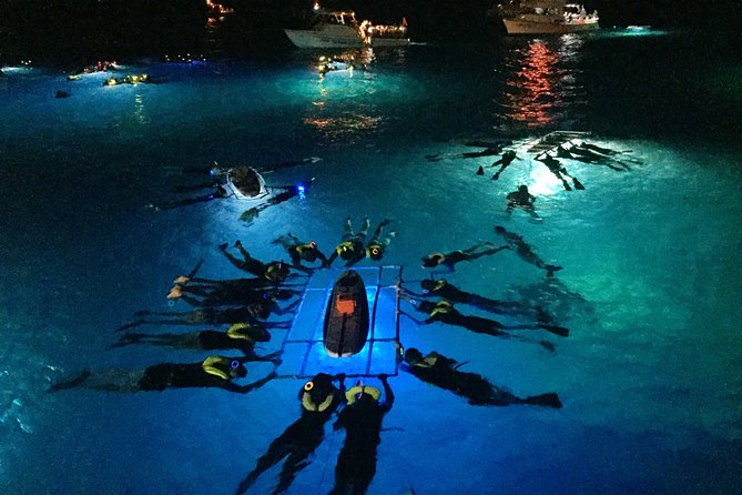 Night Manta Ray Adventure on the Big Island, Hawaii - Tour Experience