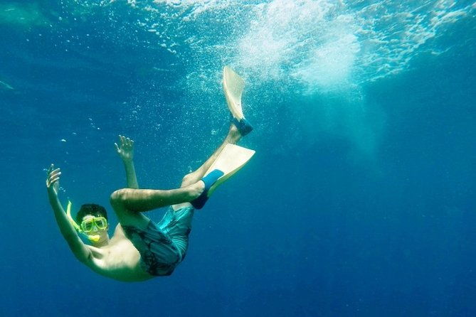 Night Manta Ray Tour | Departs from Keauhou Bay - Who Will Love This Experience?