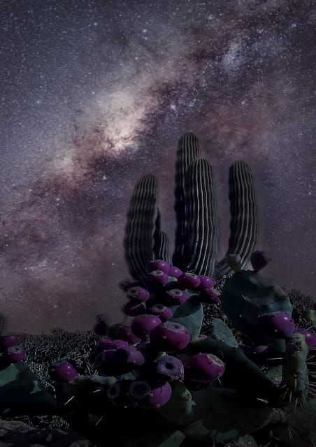 Night of Stars in the Tabernas Desert - Good To Know