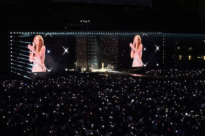 Night of VIP Concert in Mexico City with Private Transfer - Experience the Ultimate Night of Live Music in Mexico City