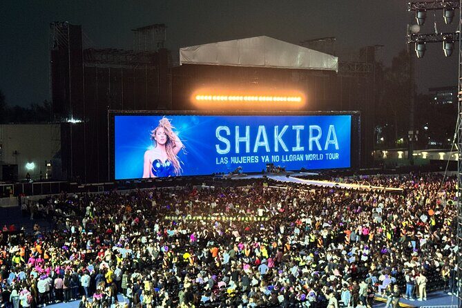 Night of VIP Concert in Mexico City with Private Transfer - Good To Know