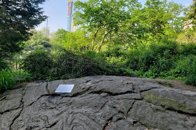 Night Panoramic Tour in New York - Tour Highlights and Itinerary