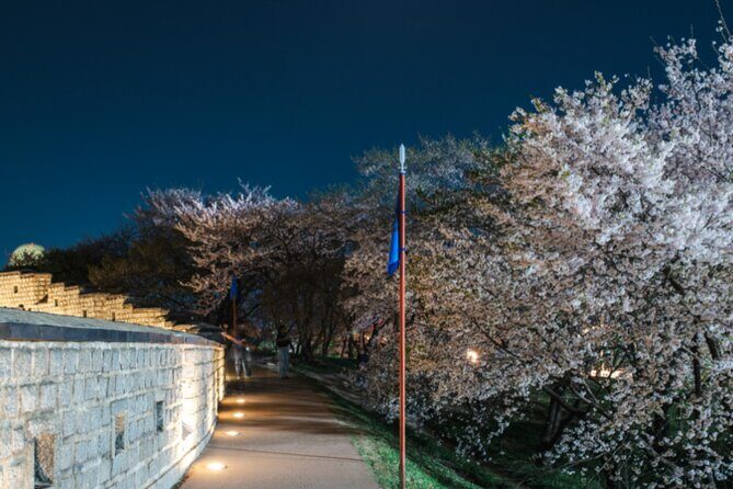 [Night Private Tour] Suwon Cherry Blossom & Hwaseong Fortress - Final Thoughts