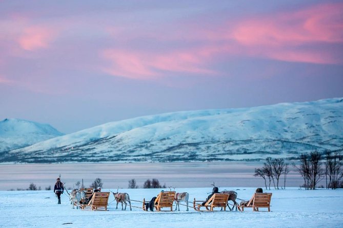 Night Reindeer Sledding With Camp Dinner and Chance of Northern Lights - Weather Challenges