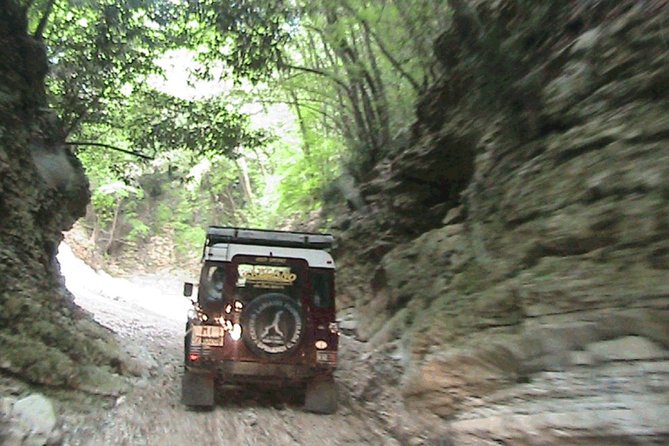 Night Safari and Aperitif Near Florence - Good To Know