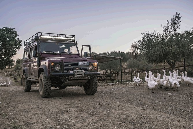 Night Safari and Aperitif Near Florence - Meeting Point and Start Time