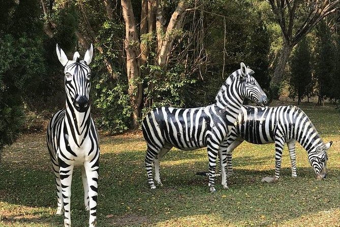 Night Safari From Chiangmai - SPECIAL DEAL - Directions