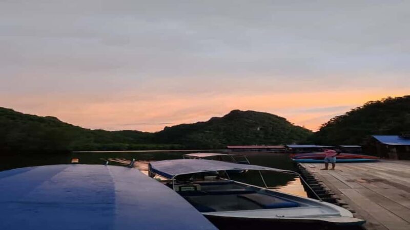 Night Safari Mangrove Tour with Guide & BBQ Buffet - Practical Details and Tips