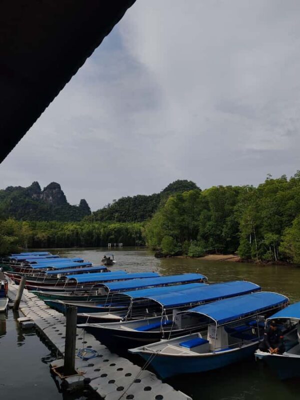 Night Safari Mangrove Tour with Guide & BBQ Buffet - The Value and Overall Impression