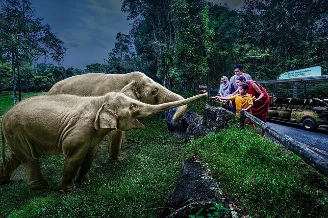 Night Safari Singapore Skip the Line Tickets with Tram Ride - Good To Know