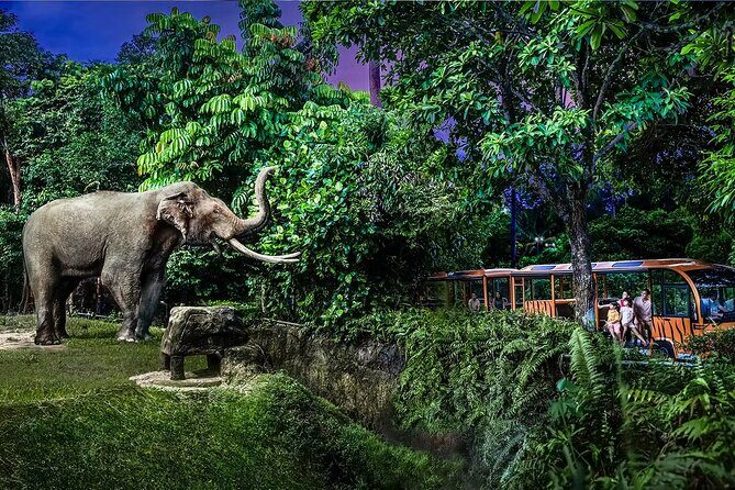 Night Safari Singapore Skip the Line Tickets with Tram Ride - Final Thoughts: Is It Worth It?