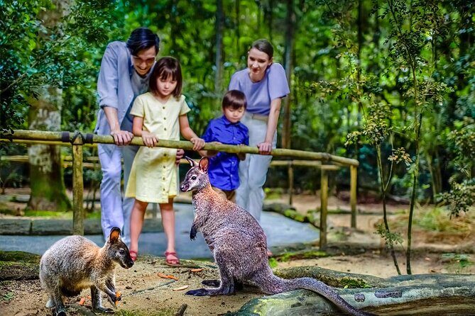 Night Safari Singapore Skip the Line Tickets with Tram Ride - Authentic Experiences from Reviewers