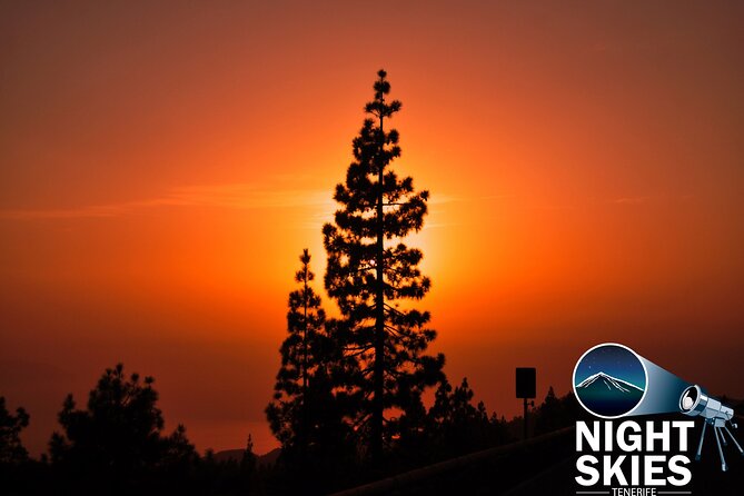 Night Sky Observation Tour With Canarian Dinner, Tenerife - Beautiful Experience