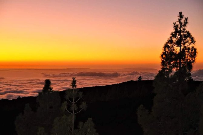 Night Sky Observation Tour With Canarian Dinner, Tenerife - Well-Organized Tour