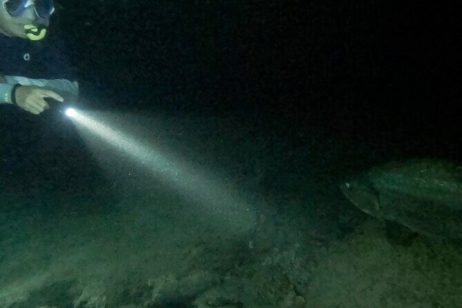 Night Snorkeling Adventure - Good To Know