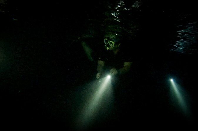 Night Snorkeling Adventure - Why It’s Worth the Price