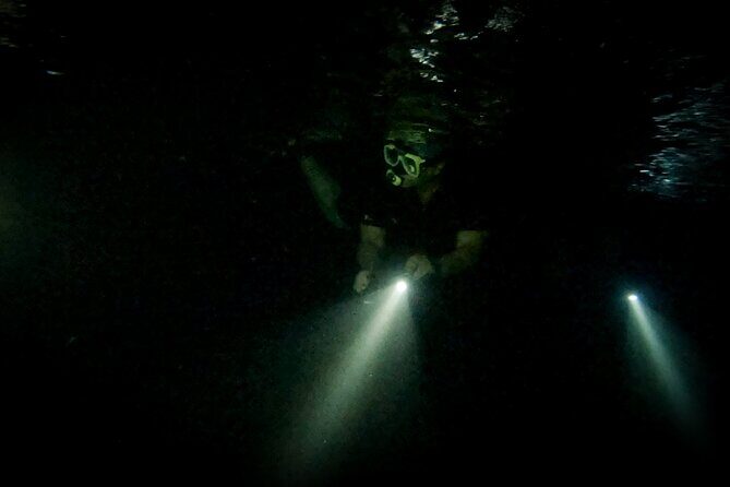 Night Snorkeling Adventure - Frequently Asked Questions
