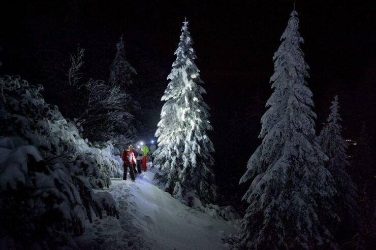 Night Snowshoeing Lapland Experience - Good To Know