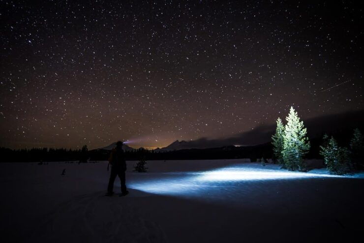 Night Snowshoeing Lapland Experience - Activity Highlights