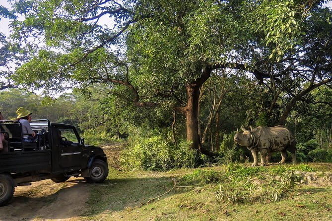 Night Stay in Chitwan National Park, 2 Nights 3 Days Package - Good To Know