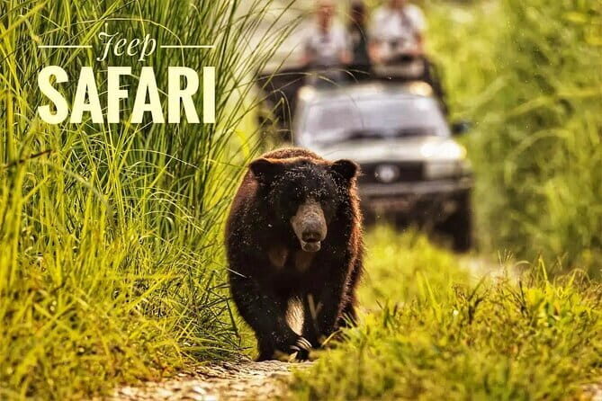 Night Stay in Chitwan National Park, 2 Nights 3 Days Package - Good To Know