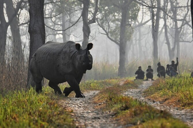 Night Stay in Chitwan National Park, 2 Nights 3 Days Package - An In-Depth Look at the Chitwan National Park Experience