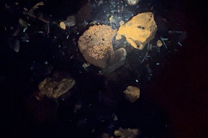 Night time fluorescent Rockhounding Tour - Practical Tips for Participants