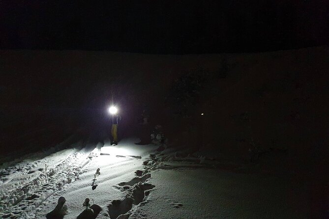 Night Time Ski Tour With Northern Lights Potential - Tour Details