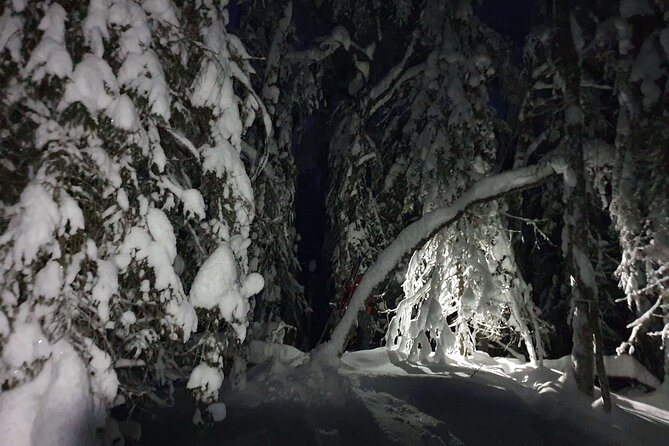 Night Time Ski Tour With Northern Lights Potential - Meeting and Pickup