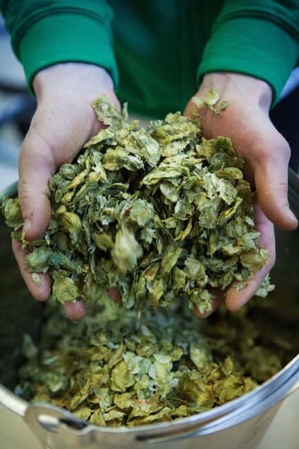 Night time tour of Harstad Craft Brewery - FAQ