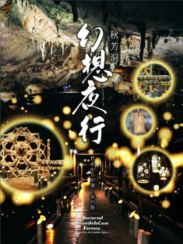 Night Tour: Akiyoshido Cave Night Tour with Bamboo Lights - The Experience Provider and Booking Details
