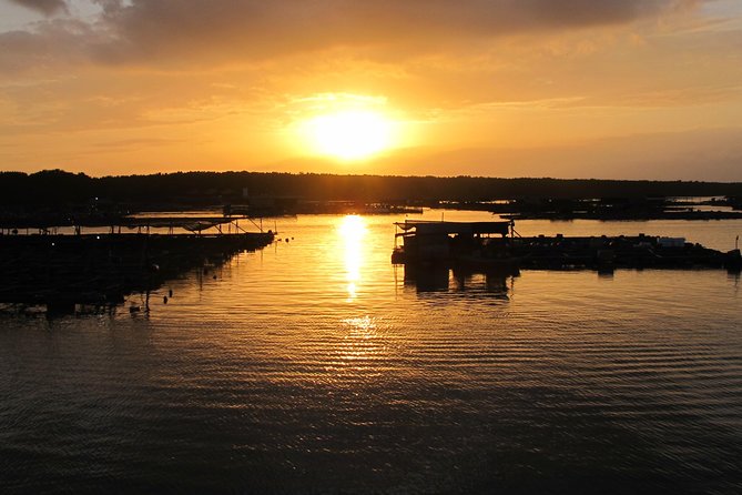 Night Tour From Kuala Lumpur With Firefly Watching and Dinner - Good To Know