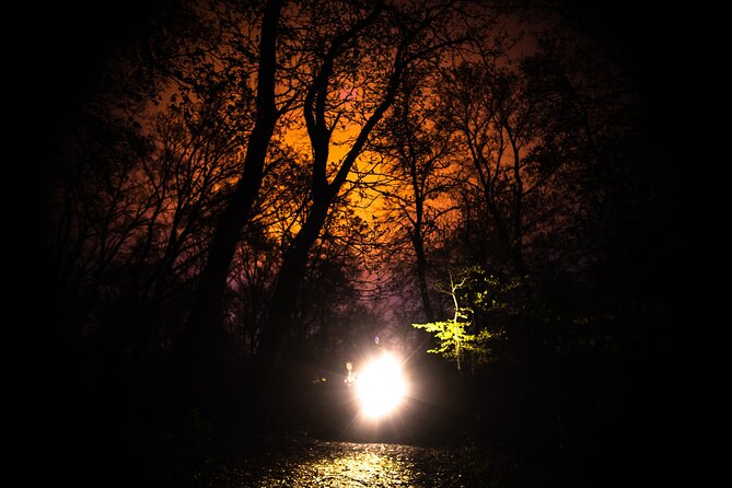 Night Tour in Hoia Baciu Forest - Tour Details