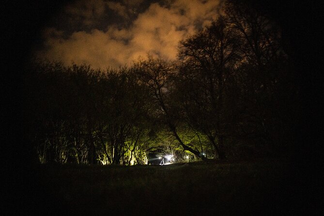 Night Tour in Hoia Baciu Forest - The Sum Up
