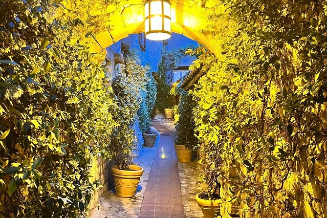 Night Tour of Eze & St Paul De Vence - St Paul De Vence