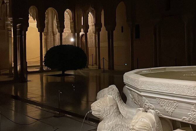 Night Tour of the Alhambra and the Nasrid Palaces - Meeting and Pickup