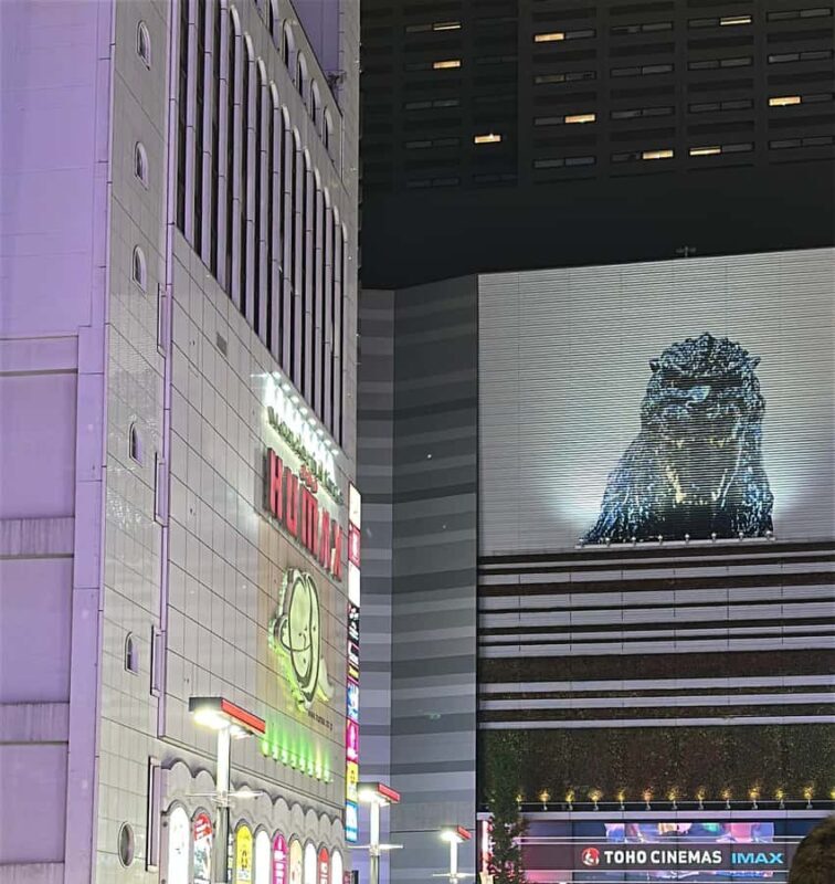 Night tour with unlimited drinks in the heart of Tokyo - Good To Know
