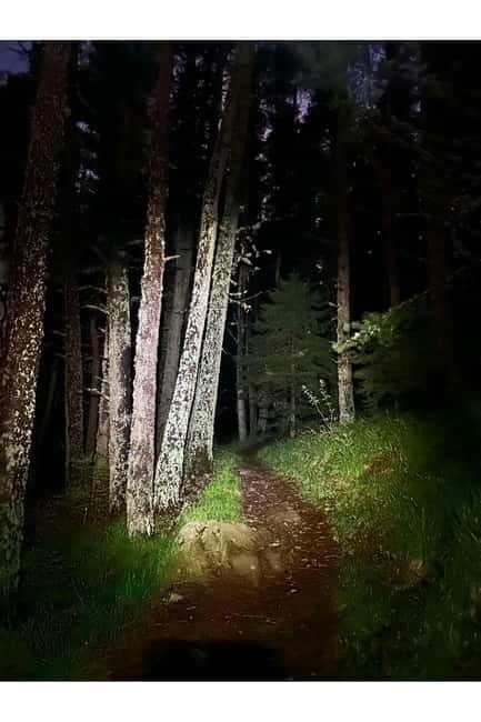 Night view of Sofia, mountain hiking tour to Kamen del Peak. - What’s Included and What to Expect